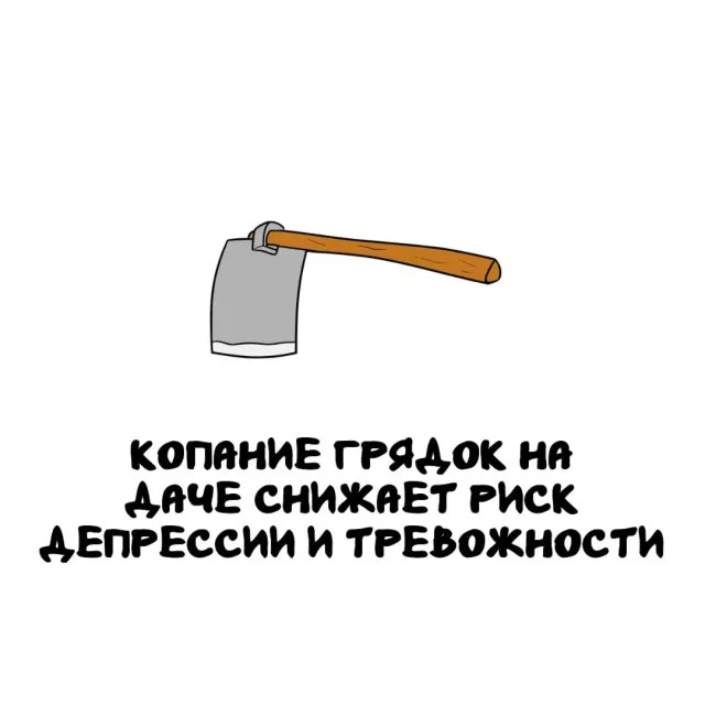 Любопытные факты, чтобы блеснуть эрудицией