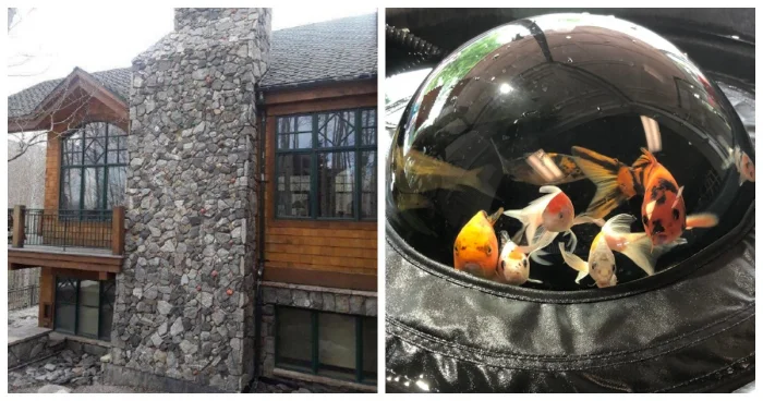 20 фото, которые сбивают с толку с первого взгляда