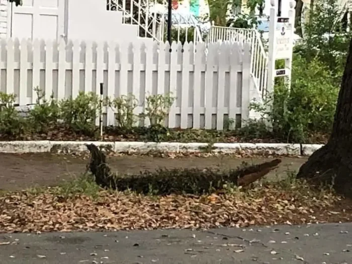 20 фото, которые сбивают с толку с первого взгляда