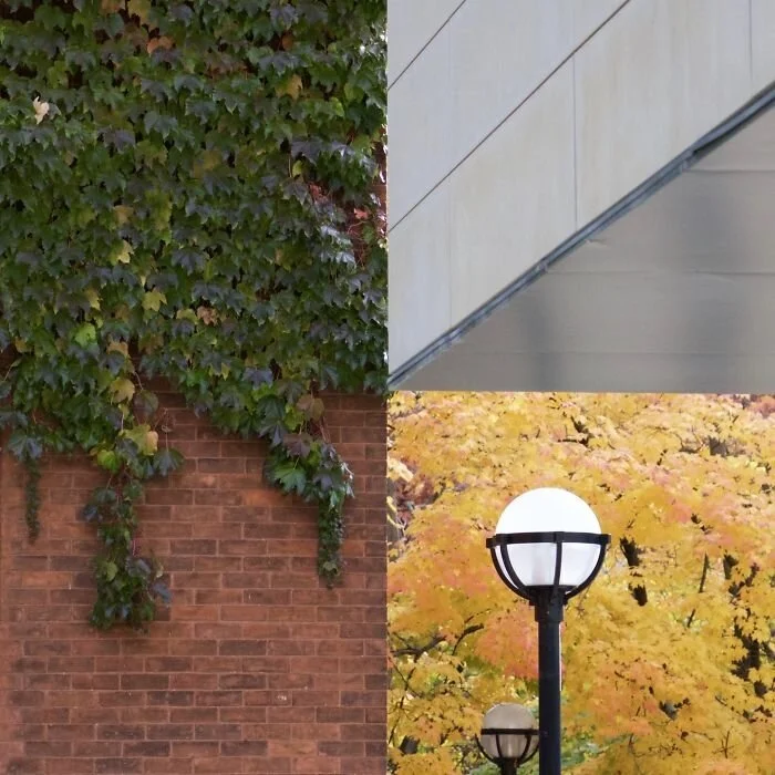 20 поразительных снимков, где нет ни грамма фотошопа