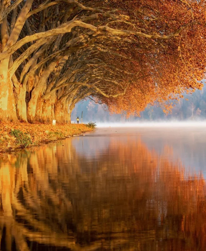 Фото, доказывающие: мир полон чудес — 20 ярких примеров