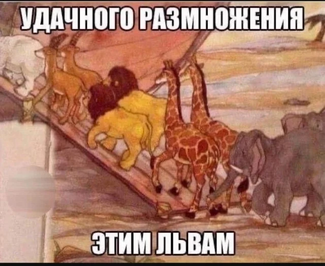 Свежие картинки для настроения!