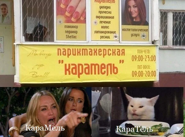 Кото-мем