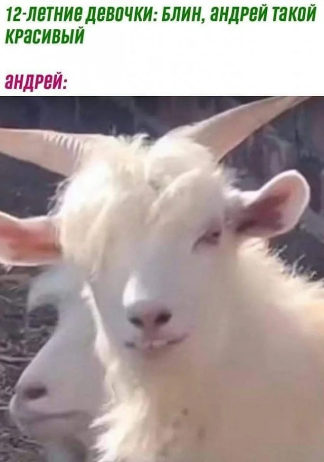 Разные картинки