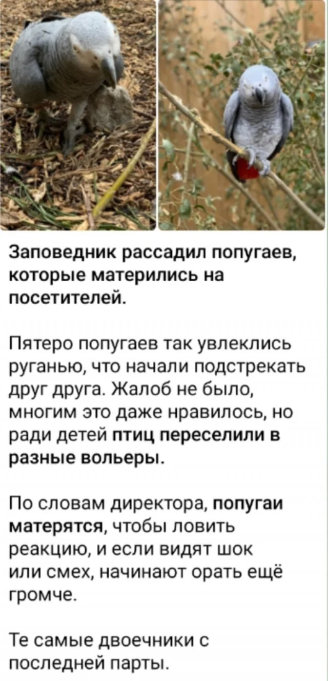 Вот такой юморок