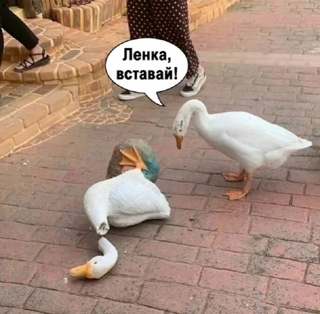 Ждали приколы? Держите!