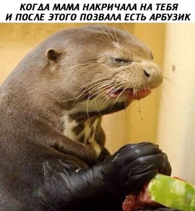 Картинок разных