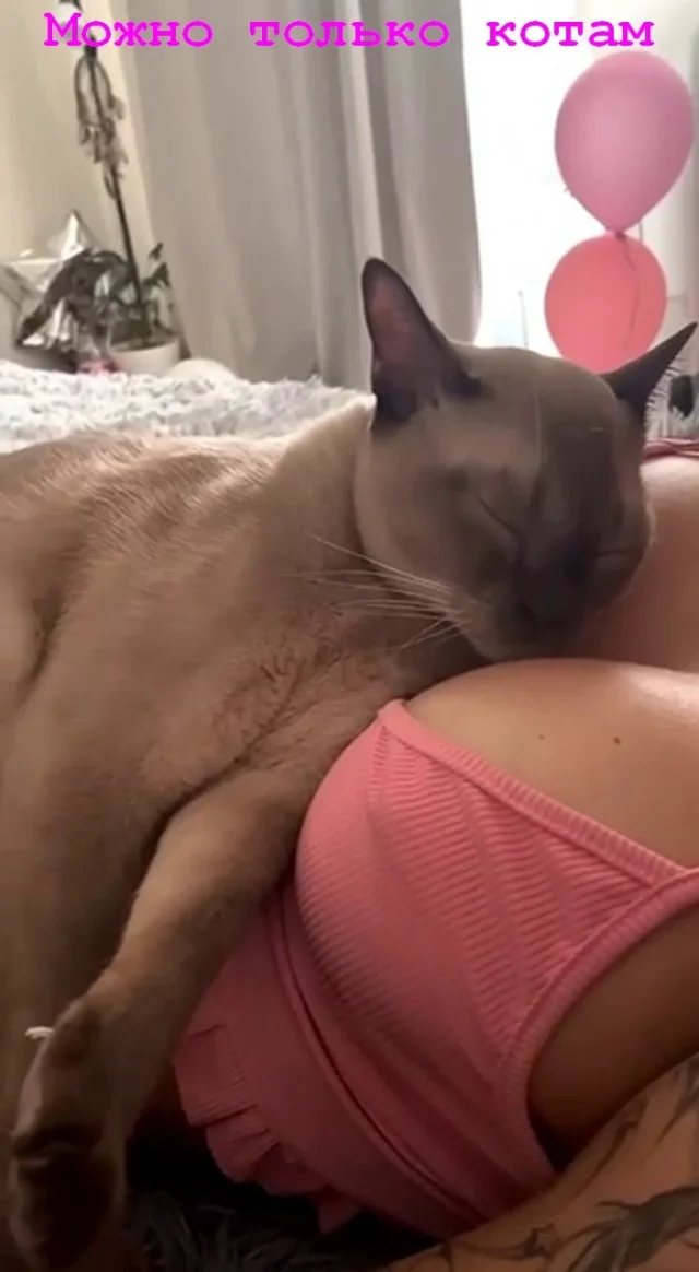 Скромно и не для взрослых