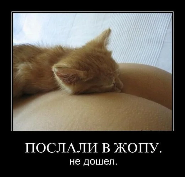 Скромно и не для взрослых