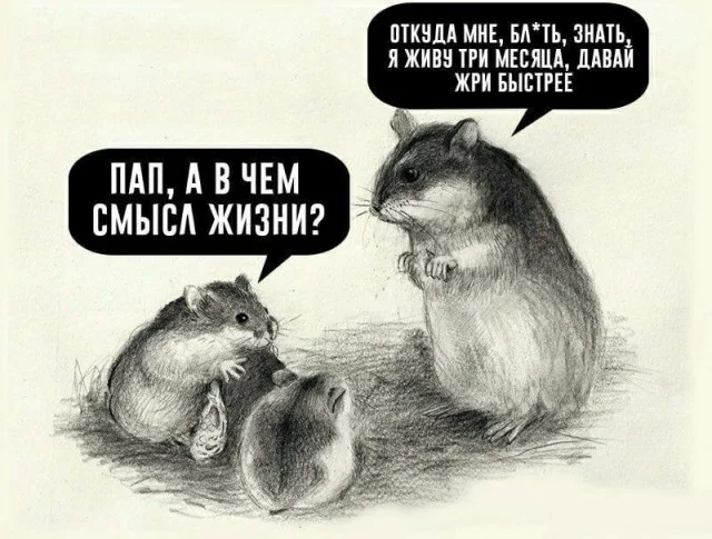 Деградульки