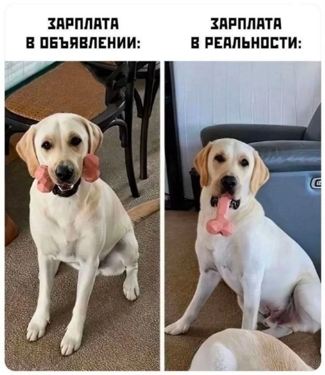 Улыбнулся и дальше работать