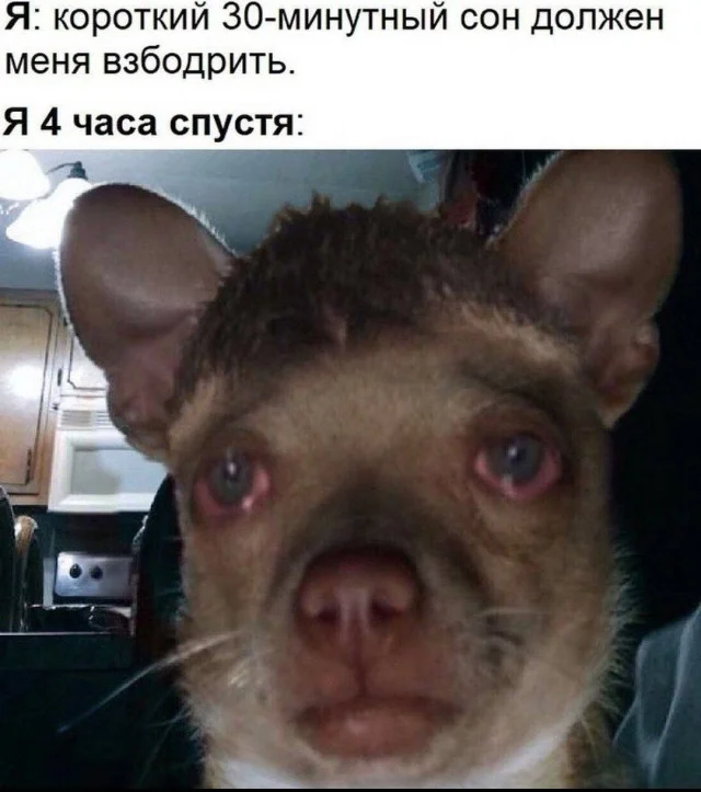 Деграднем? Да!