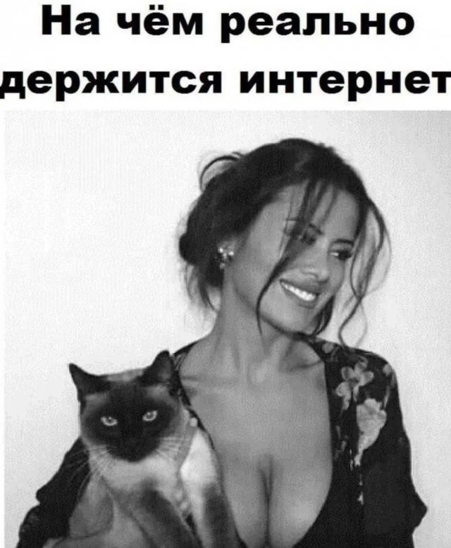 Ржачные мемы для взрослых