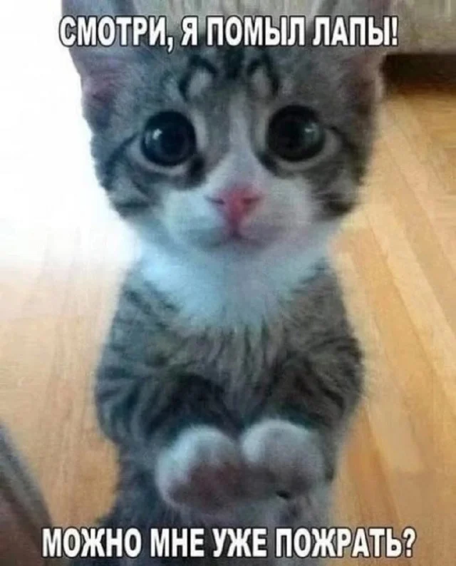 Отлично и классно: приколы