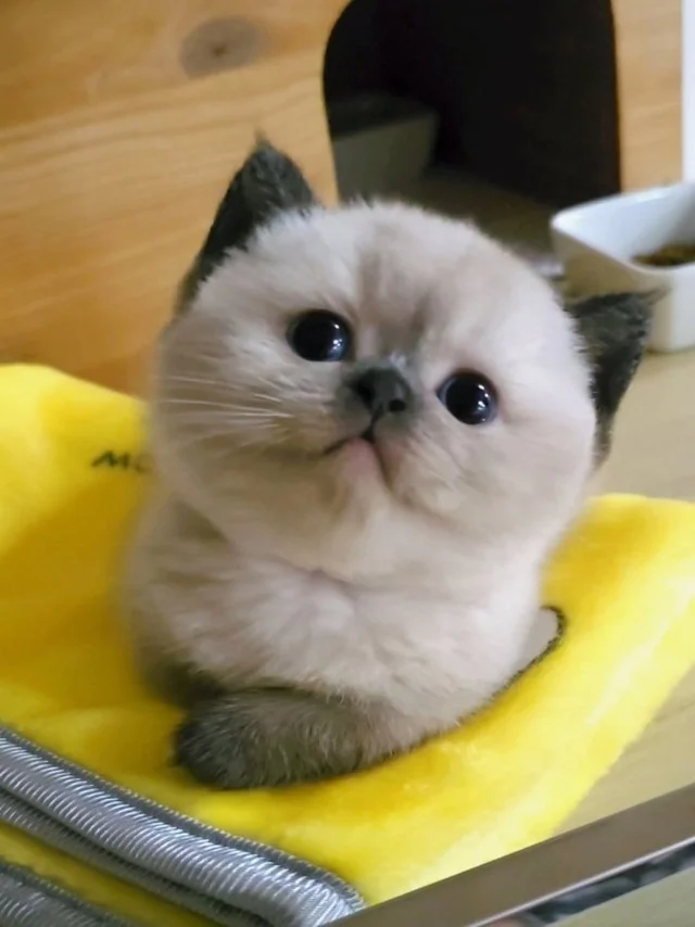 Во! Приколы!