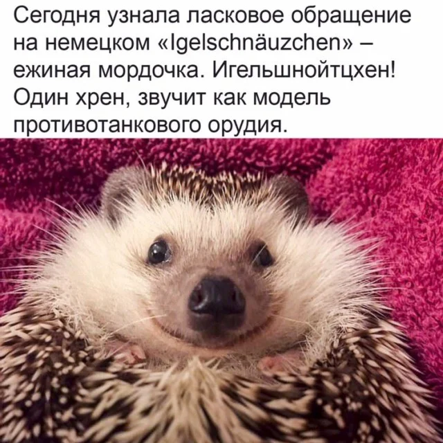 Деграднем? Да!