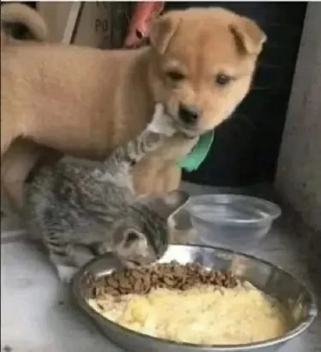 Смешно и по кайфу!