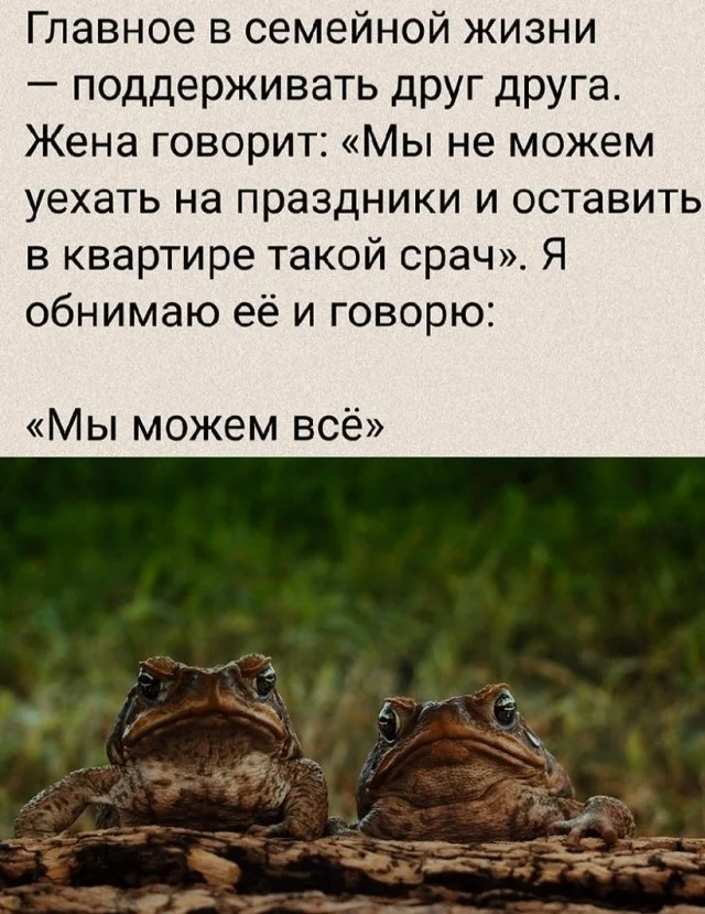 Смешно и по кайфу!