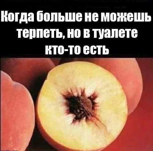 Свежая деградация!