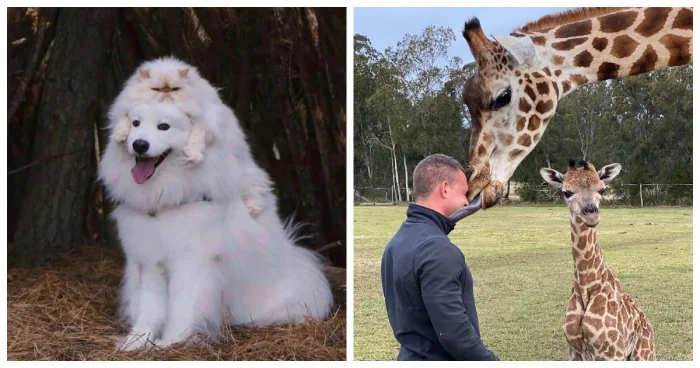 22 милых создания, способных растопить любое хмурое утро