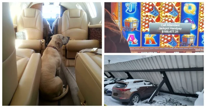 30 снимков, где удача явно была на стороне людей