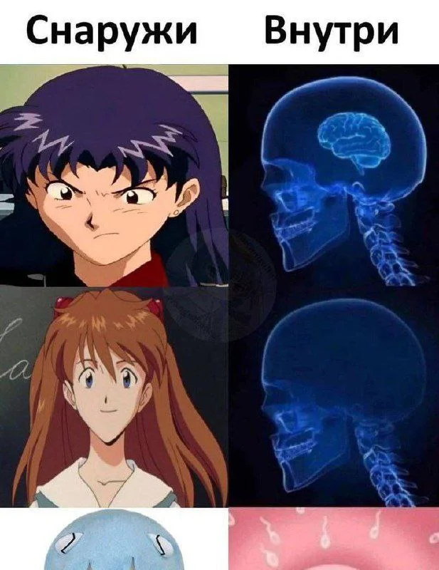 Вторичные анимемы