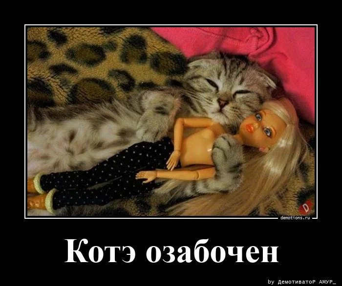 Демотиваторов пост