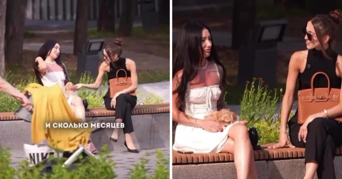 Девушка обменяла своего щенка на сумку за 2 млн ₽