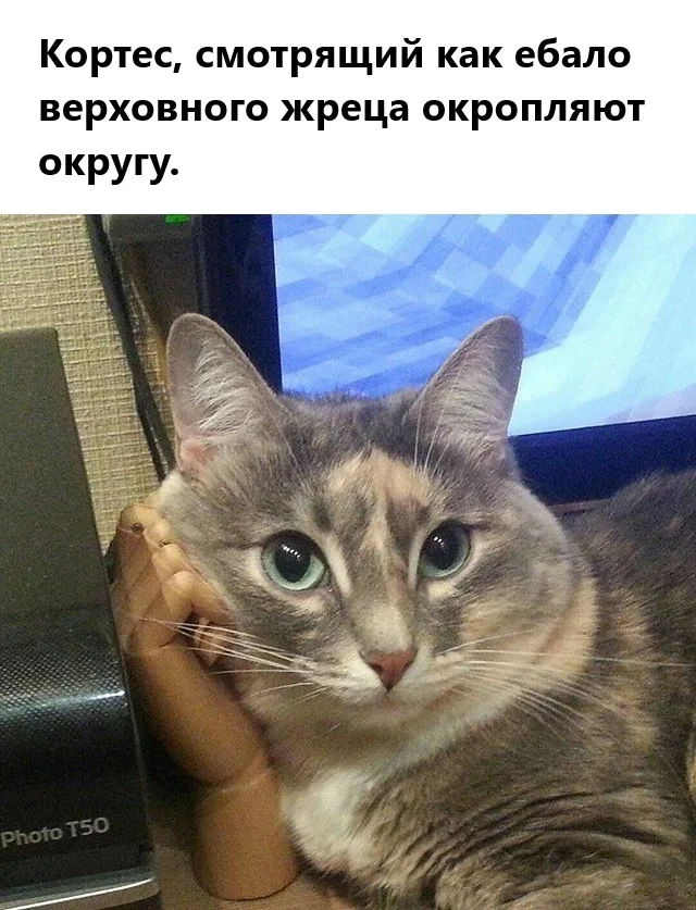 А если бы в жертву пошли 20 конкистадоров — результат был бы мощнее