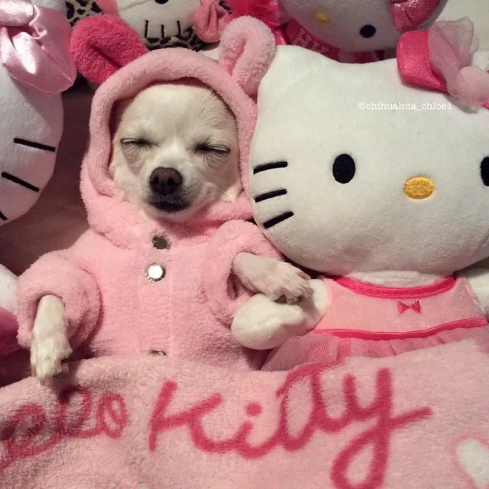 Подборка картинок на общую тему