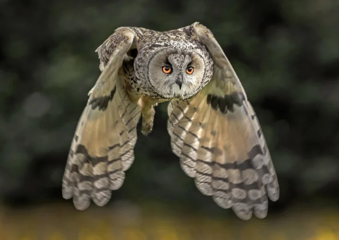 Картинки на общую тему