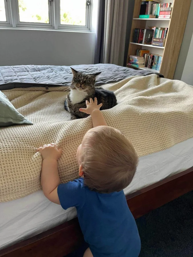 Свежее на общую тему