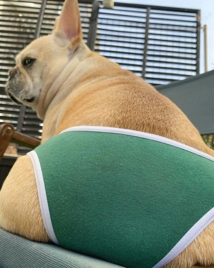 Новая подборка на общую тему