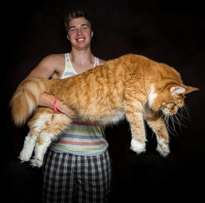 Подборка картинок на общую тему