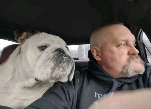 Взбалталось и намешалось