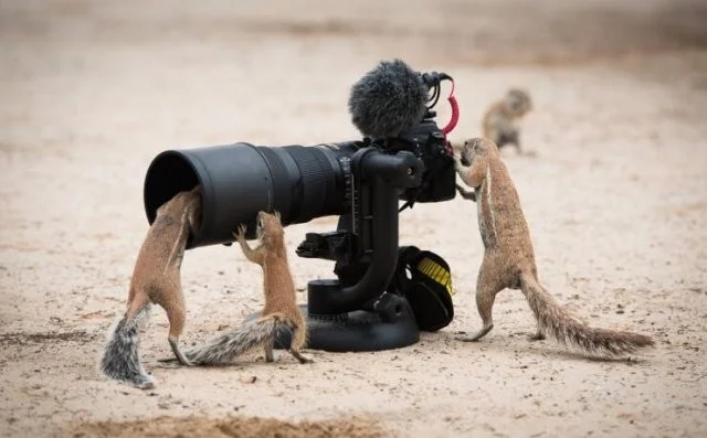 Намешалось ещё немного