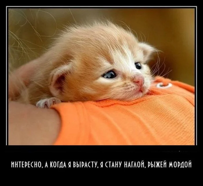 Жизненные демотиваторы