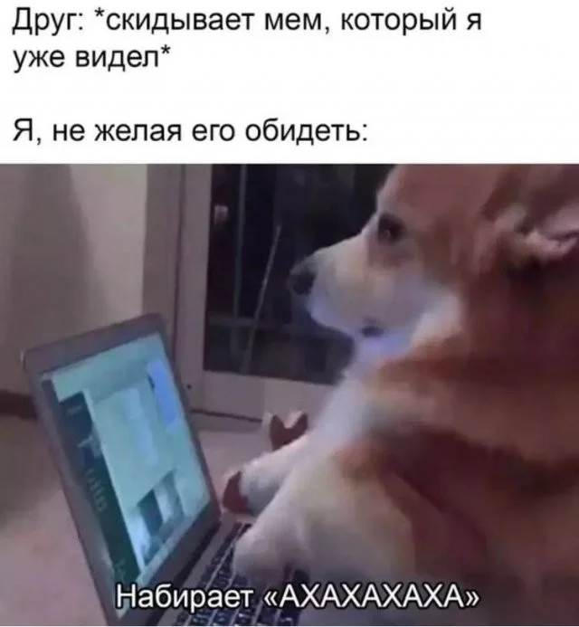 Смешные скрины из соцсетей #72