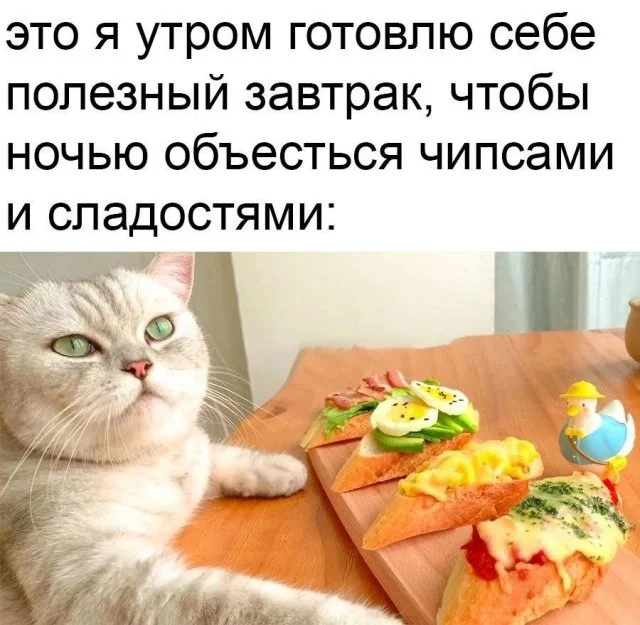 Смешные скрины из соцсетей #71