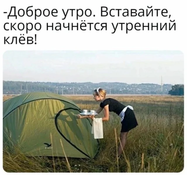 Смешные скрины из соцсетей #81