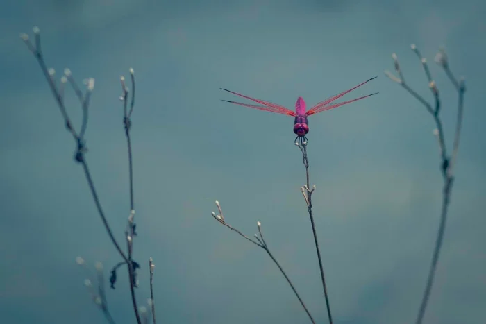 Подъехало всё вразнобой