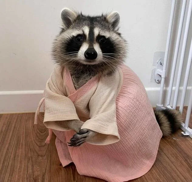 Подъехало всё вразнобой