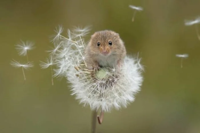 Получается всё вразнобой