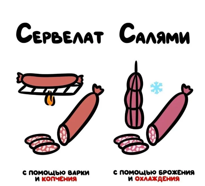 Знай разницу  — прикольные картинки, сравнения и различия | #101