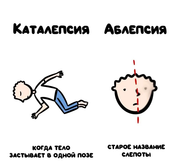 Знай разницу — прикольные картинки, сравнения и различия | #117