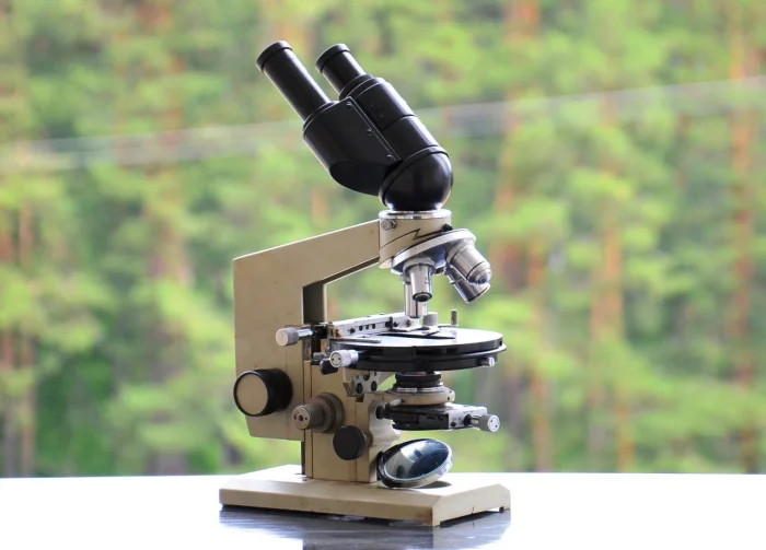 10 потрясающих микрофотографий, которые открывают невидимый мир