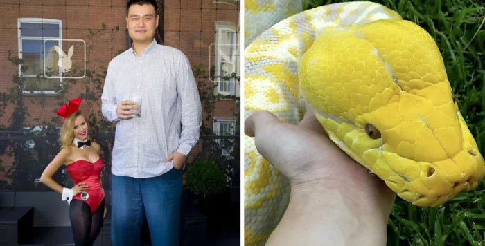 17 снимков гигантских объектов, рядом с которыми чувствуешь себя крошкой