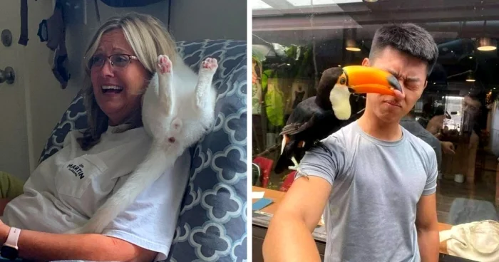 Дерзость в кадре: 17 животных, показывающих, кто главный