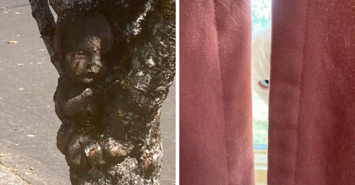 Подборка из 17 снимков, способных лишить дара речи