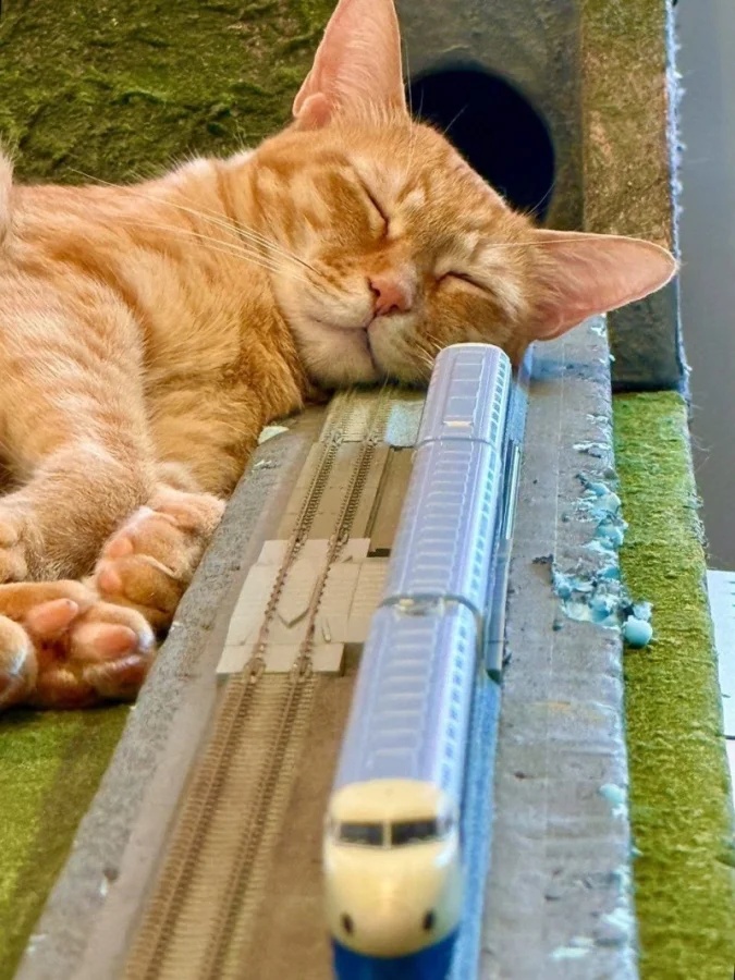 Получается всё вразнобой